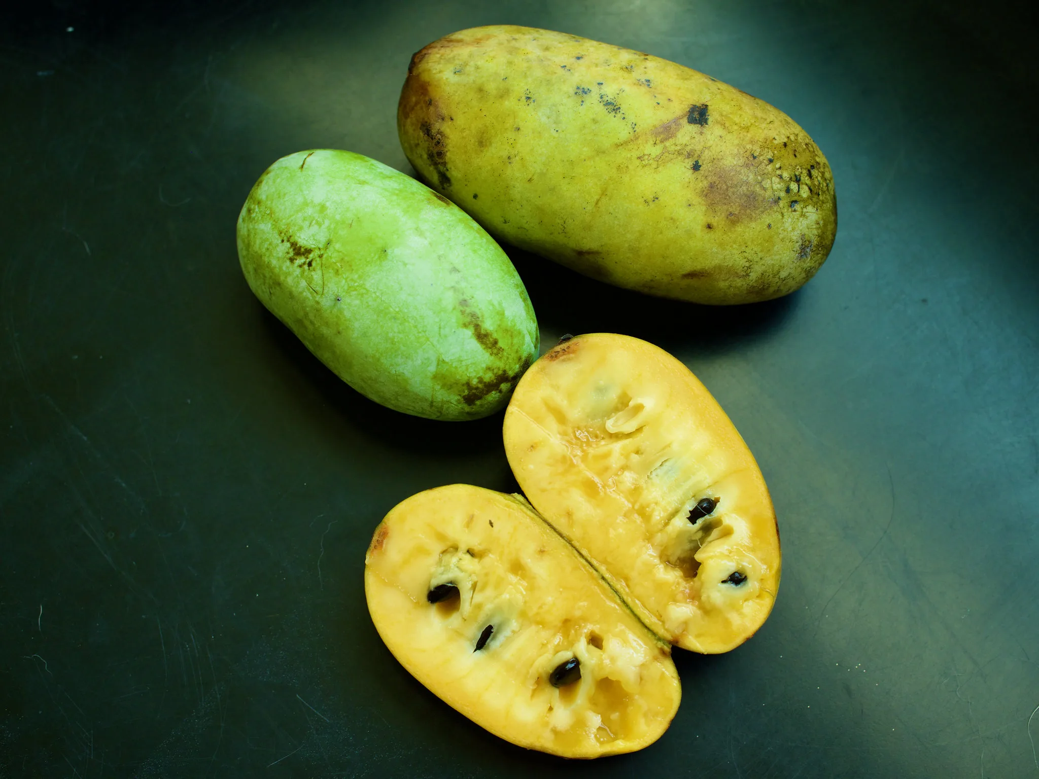 How to Grow a Pawpaw Tree: A Guide to Growing America’s Forgotten Fruit